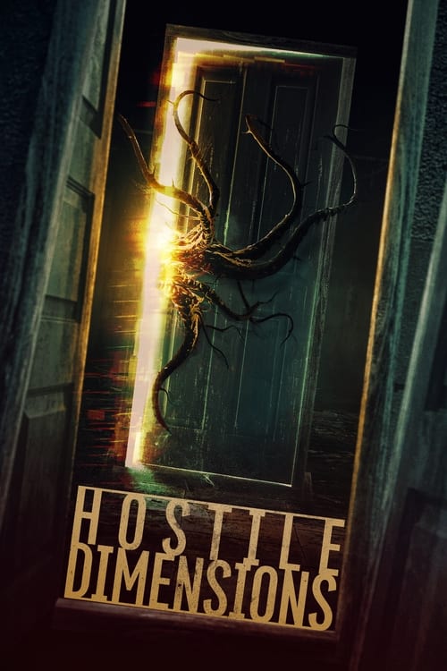 Poster for Hostile Dimensions