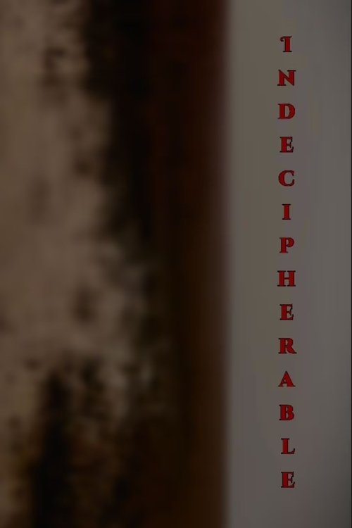 Poster for Indecipherable