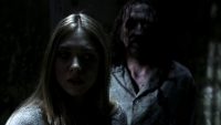 Asylum