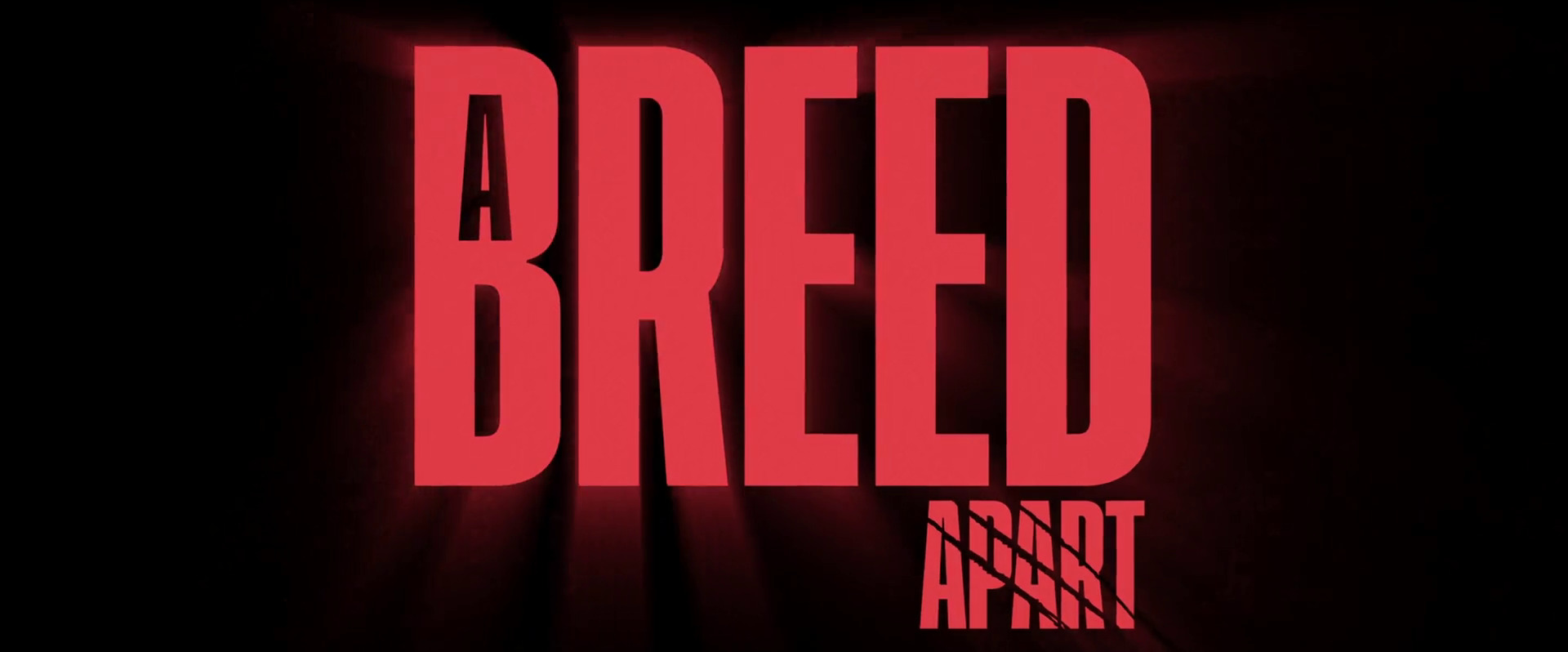 Title card thumbnail