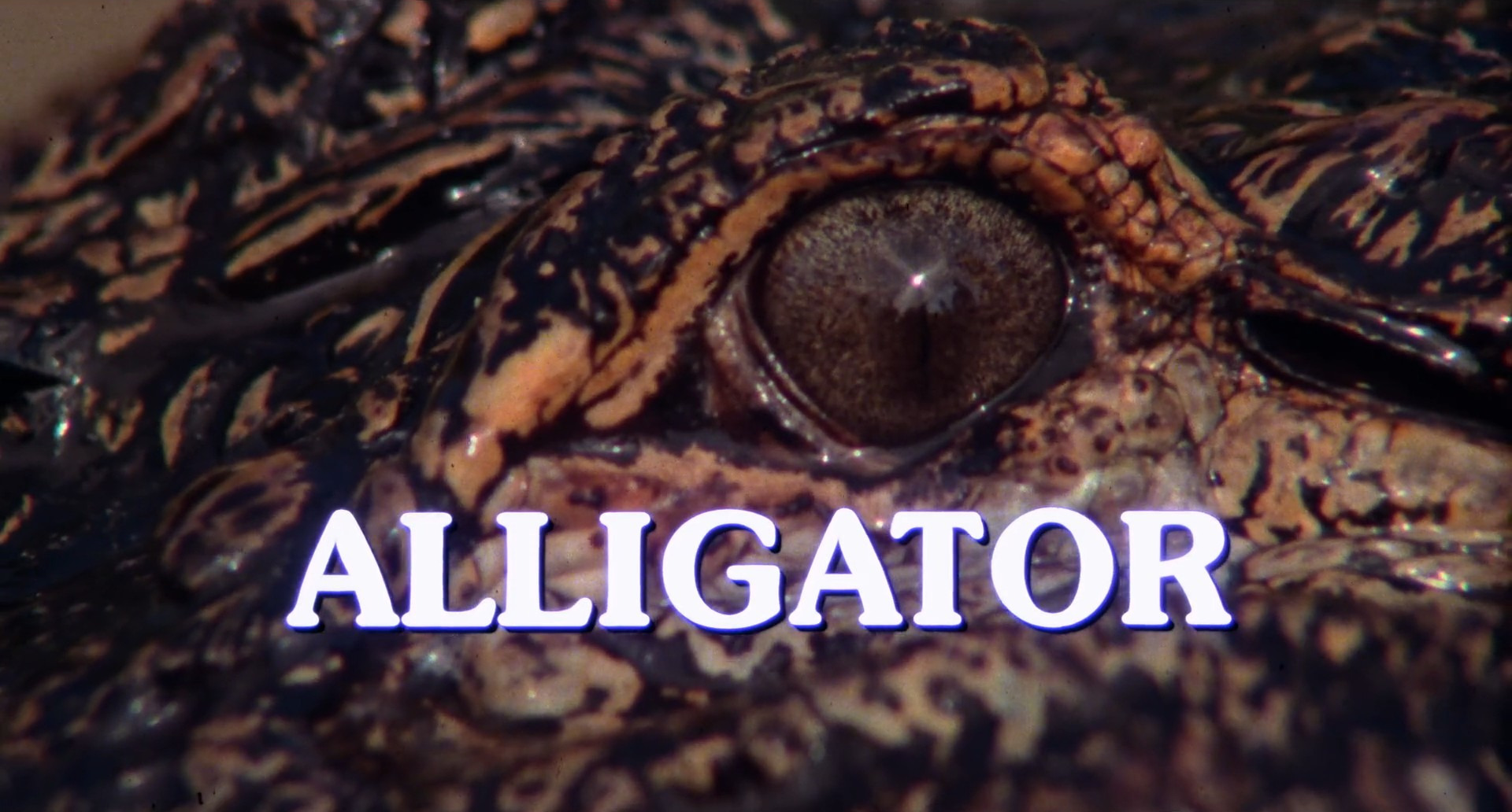 Title card thumbnail