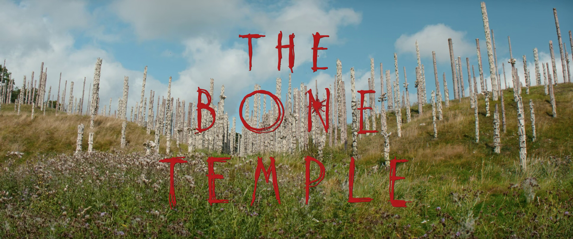 Title card thumbnail