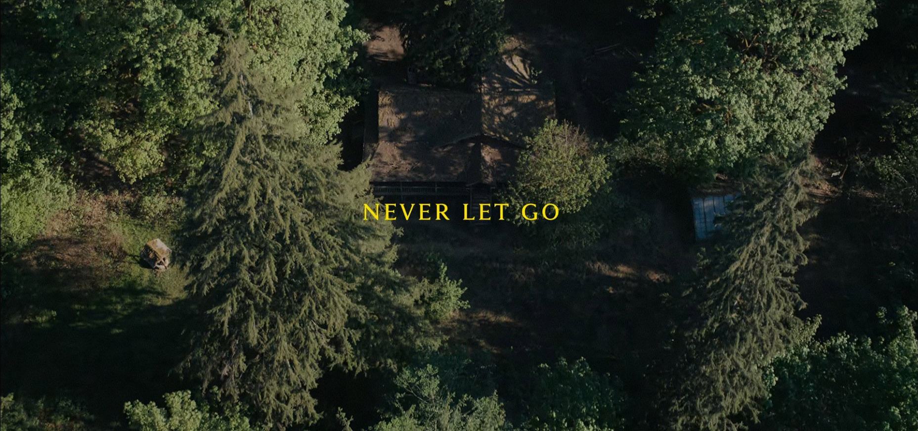 Title card thumbnail