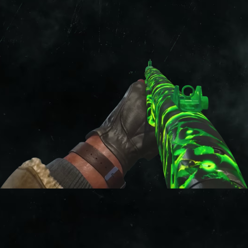 UNKNOWN SHOTGUN PAP